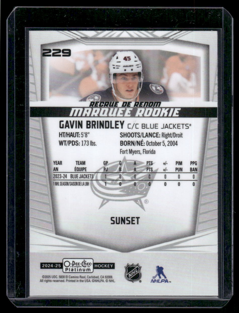 2024-25 O-Pee-Chee Platinum #229 Gavin Brindley Sunset