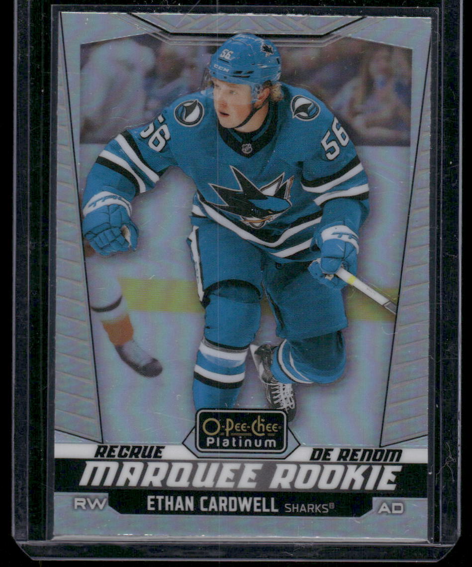 2024-25 O-Pee-Chee Platinum #294 Ethan Cardwell Rainbow