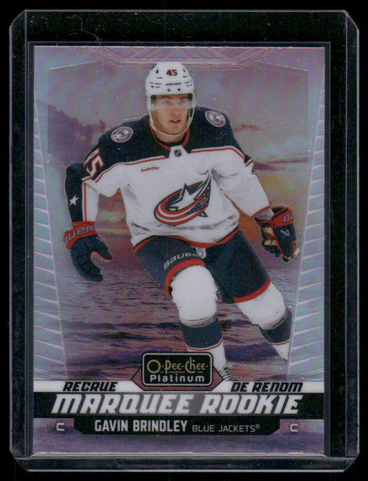 2024-25 O-Pee-Chee Platinum #229 Gavin Brindley Sunset