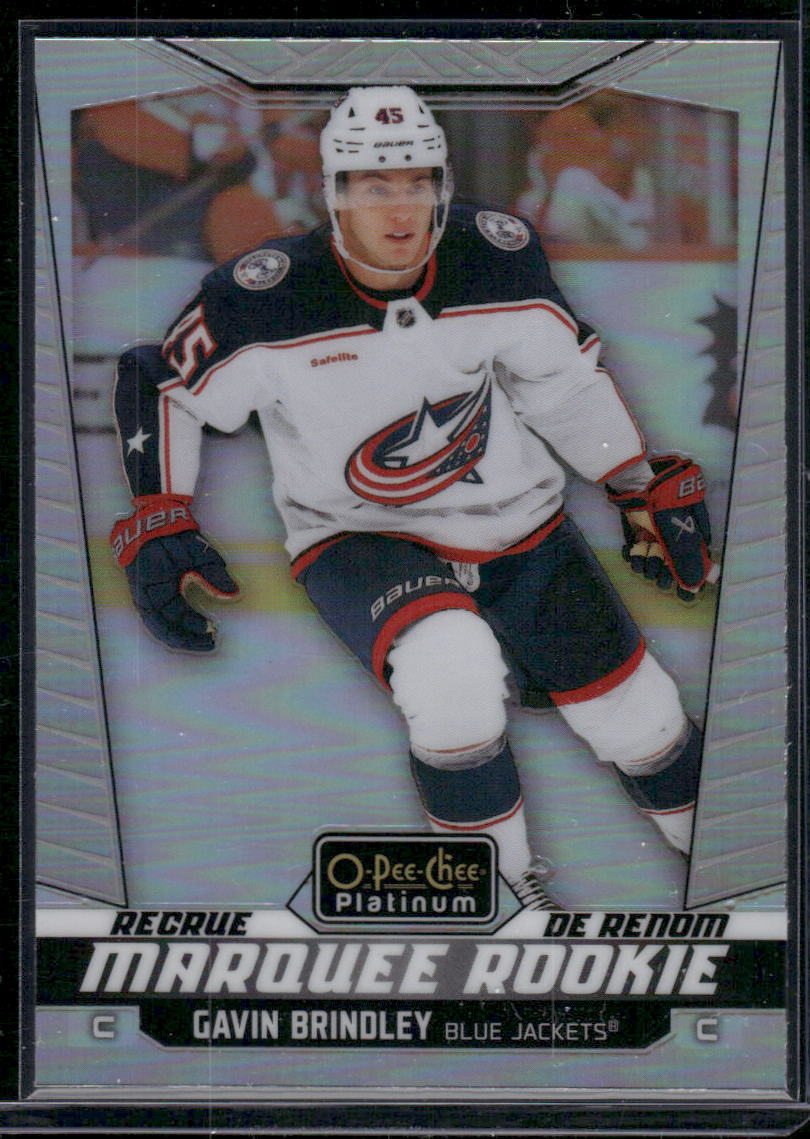2024-25 O-Pee-Chee Platinum #229 Gavin Brindley Rainbow